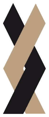 هلدینگ کفش آریا